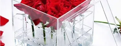 La imagen 3 de la Empresa ACABADOS ESPECIALES EN ACRÍLICO SOSACRIL Pinturas, Accesorios y Servicios en Mexico CMX