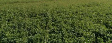 La imagen 2 de la Empresa AGROPRODUCTOS MEZQUITE SA DE CV Fabricantes, Mayoristas y Distribuidoras de Alimentos y Bebidas en Ciudad Delicias CHH