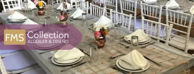 La imagen 2 de la Empresa ALQUILADORA FMS COLLECTION Organización y Realización de Fiestas y Eventos en Serdan PUE