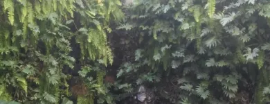 La imagen 12 de la Empresa ALUX DE MÉXICO GESTORES AMBIENTALES Sistemas y Equipos de Riego en Ciudad De México CMX