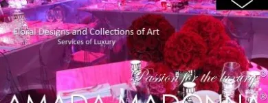 La imagen 5 de la Empresa AMADA MADONNA Venta y Renta de Trajes y Vestidos en San Pedro Garza García NLE