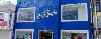 La imagen 8 de la Empresa ARCO LUMINOSO Servicios Profesionales y de Negocios en Veracruz VER