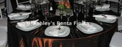 La imagen 7 de la Empresa ASHLEY'S RENTA FIESTA Arte, Entretenimiento y Vida Nocturna en Celaya GUA