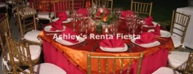 La imagen 10 de la Empresa ASHLEY'S RENTA FIESTA Arte, Entretenimiento y Vida Nocturna en Celaya GUA