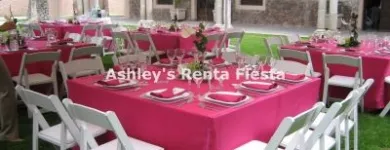 La imagen 11 de la Empresa ASHLEY'S RENTA FIESTA Arte, Entretenimiento y Vida Nocturna en Celaya GUA