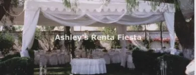 La imagen 13 de la Empresa ASHLEY'S RENTA FIESTA Arte, Entretenimiento y Vida Nocturna en Celaya GUA