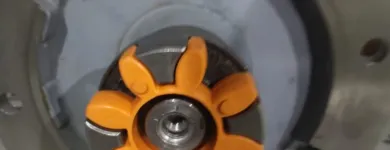 La imagen 3 de la Empresa ASPAS DE CARBÓN Servicios Profesionales y de Negocios en Chalco De Díaz Covarrubias MEX