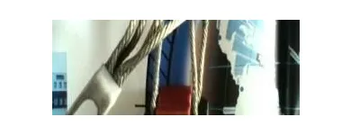 La imagen 13 de la Empresa ASPAS DE CARBÓN Servicios Profesionales y de Negocios en Chalco De Díaz Covarrubias MEX