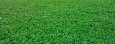 La imagen 1 de la Empresa BARTON MILER Fabricantes, Mayoristas y Distribuidoras de Alimentos y Bebidas en Ciudad Delicias CHH