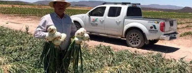 La imagen 3 de la Empresa BARTON MILER Fabricantes, Mayoristas y Distribuidoras de Alimentos y Bebidas en Ciudad Delicias CHH