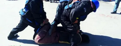 La imagen 3 de la Empresa BEGECAN ADIESTRAMIENTO Y SERVICIO PRIVADO EN SEGURIDAD CANINA S.A. DE C.V. Servicios Profesionales y de Negocios en San Miguel Zinacantepec MEX