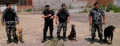 La imagen 4 de la Empresa BEGECAN ADIESTRAMIENTO Y SERVICIO PRIVADO EN SEGURIDAD CANINA S.A. DE C.V. Servicios Profesionales y de Negocios en San Miguel Zinacantepec MEX