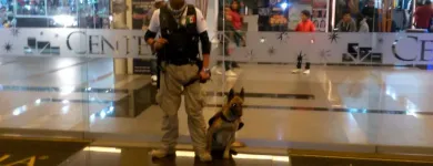 La imagen 6 de la Empresa BEGECAN ADIESTRAMIENTO Y SERVICIO PRIVADO EN SEGURIDAD CANINA S.A. DE C.V. Servicios Profesionales y de Negocios en San Miguel Zinacantepec MEX