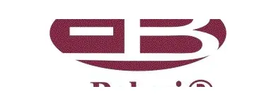 La imagen 1 de la Empresa BELURI FLEJES Y EMPAQUES, S.A. DE C.V. Industrias y Agricultura en Ecatepec De Morelos MEX