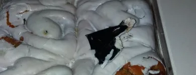 La imagen 2 de la Empresa BIMBO DEL NORTE, S.A. DE C.V Pastelerías y Panaderías en Monterrey NLE