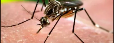 La imagen 4 de la Empresa BIO-ECO CONTROL DE PLAGAS Servicios Profesionales y de Negocios en Monterrey NLE