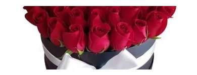 La imagen 1 de la Empresa BOUTIQUE FLORAL Industrias y Agricultura en Ciudad De México CMX