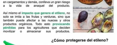 La imagen 1 de la Empresa CARGODEPOT Transportes y Turismo en Tampico TAM