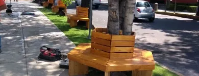 La imagen 22 de la Empresa CARPINTERIA REYES Servicios Profesionales y de Negocios en Puebla MEX