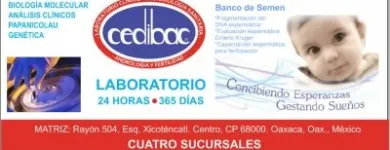 La imagen 4 de la Empresa CEDIBAC S.A. DE C.V. Salud y Medicina en Oaxaca De Juárez OAX