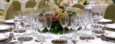 La imagen 5 de la Empresa CELEBRA Organización y Realización de Fiestas y Eventos en San Luis Potosí SLP