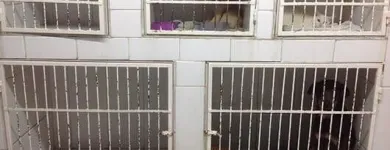 La imagen 2 de la Empresa CLÍNICA VETERINARIA CHIHUAHUA Salud y Medicina en Chihuahua MEX