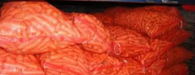 La imagen 1 de la Empresa COMERCIAL DEL CAMPO Tiendas de Autoservicio y Departamentales en Puebla MEX