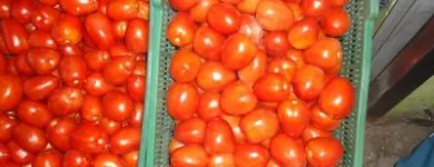 La imagen 3 de la Empresa COMERCIAL DEL CAMPO Tiendas de Autoservicio y Departamentales en Puebla MEX