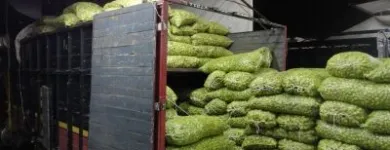 La imagen 6 de la Empresa COMERCIAL DEL CAMPO Tiendas de Autoservicio y Departamentales en Puebla MEX