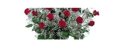 La imagen 2 de la Empresa COMERCIALIZADORA FLORERÍAS DEL SOL, S.A. DE C.V. Industrias y Agricultura en Ciudad De México CMX