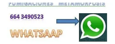 La imagen 6 de la Empresa CONTROL DE PLAGAS DOMESTICAS METAMORFOSIS Servicios Profesionales y de Negocios en Tijuana BCN