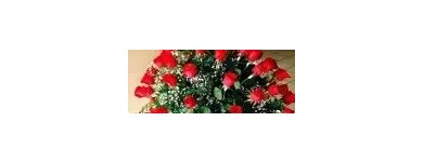 La imagen 4 de la Empresa D´ LAURA FLORERÍA Industrias y Agricultura en Chihuahua MEX