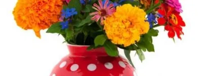 La imagen 1 de la Empresa D'MARILYN FLORISTAS Industrias y Agricultura en San Felipe CHH