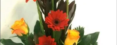 La imagen 3 de la Empresa D'MARILYN FLORISTAS Industrias y Agricultura en San Felipe CHH