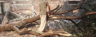 La imagen 3 de la Empresa DEMOLICIONES Y EXCAVACIONES CASTELLANOS Servicios Profesionales y de Negocios en Ciudad De México CMX