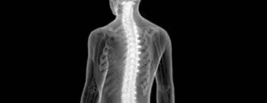 La imagen 1 de la Empresa DIAGNÓSTICO MÉDICO DENTAL POR IMAGEN SC Salud y Medicina en Ciudad Juárez CHH