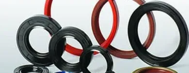 La imagen 3 de la Empresa DIHRAMSA Industrias y Agricultura en Torreon COA