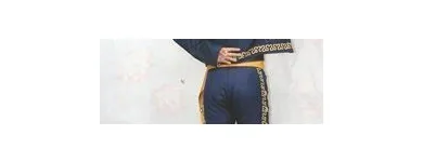 La imagen 6 de la Empresa DISFRACES AMÉRICAS EN PUEBLA Disfraces en Valle Dorado PUE