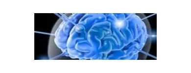 La imagen 3 de la Empresa DR. ALEJANDRO TELLO GRANADOS Salud y Medicina en Cancún ROO