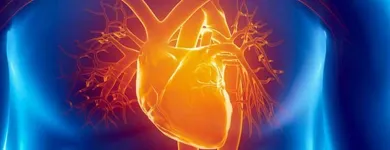 La imagen 1 de la Empresa DR. ALFONSO RANGEL CONTRERAS Salud y Medicina en Ciudad Delicias CHH