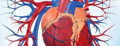 La imagen 3 de la Empresa DR. ALFONSO RANGEL CONTRERAS Salud y Medicina en Ciudad Delicias CHH