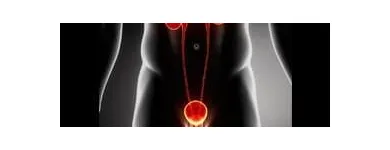 La imagen 3 de la Empresa DR DANIEL FRANCO CARRILLO Salud y Medicina en Celaya GUA