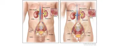 La imagen 1 de la Empresa DR. JORGE A. ARRATIA MAQUEO Salud y Medicina en Monterrey NLE