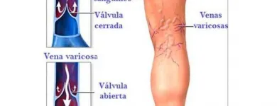 La imagen 3 de la Empresa DR. LUIS CARLOS CANTO JONGUITUD Salud y Medicina en San Andrés Cholula PUE