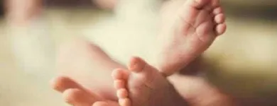 La imagen 1 de la Empresa DRA ELIA B CASTILLO G GINECÓLOGA Salud y Medicina en Guamúchil SIN