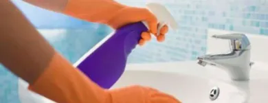 La imagen 2 de la Empresa ECO+CLEAN Servicios Profesionales y de Negocios en Oaxaca MEX