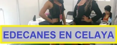 La imagen 1 de la Empresa EN CELAYA Servicios Profesionales y de Negocios en Celaya GUA