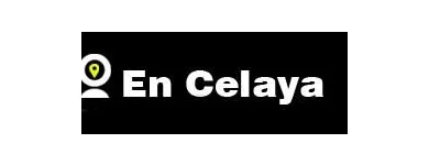 La imagen 3 de la Empresa EN CELAYA Servicios Profesionales y de Negocios en Celaya GUA