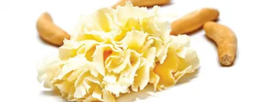 La imagen 35 de la Empresa ENRIQUE TOMÁS JAMON-TAPAS-VINO Restaurantes de tapas en Ciudad De México CMX