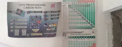 La imagen 1 de la Empresa ESCUELA DE BUCEO SEAS Escuelas de Buceo en Ciudad De México CMX